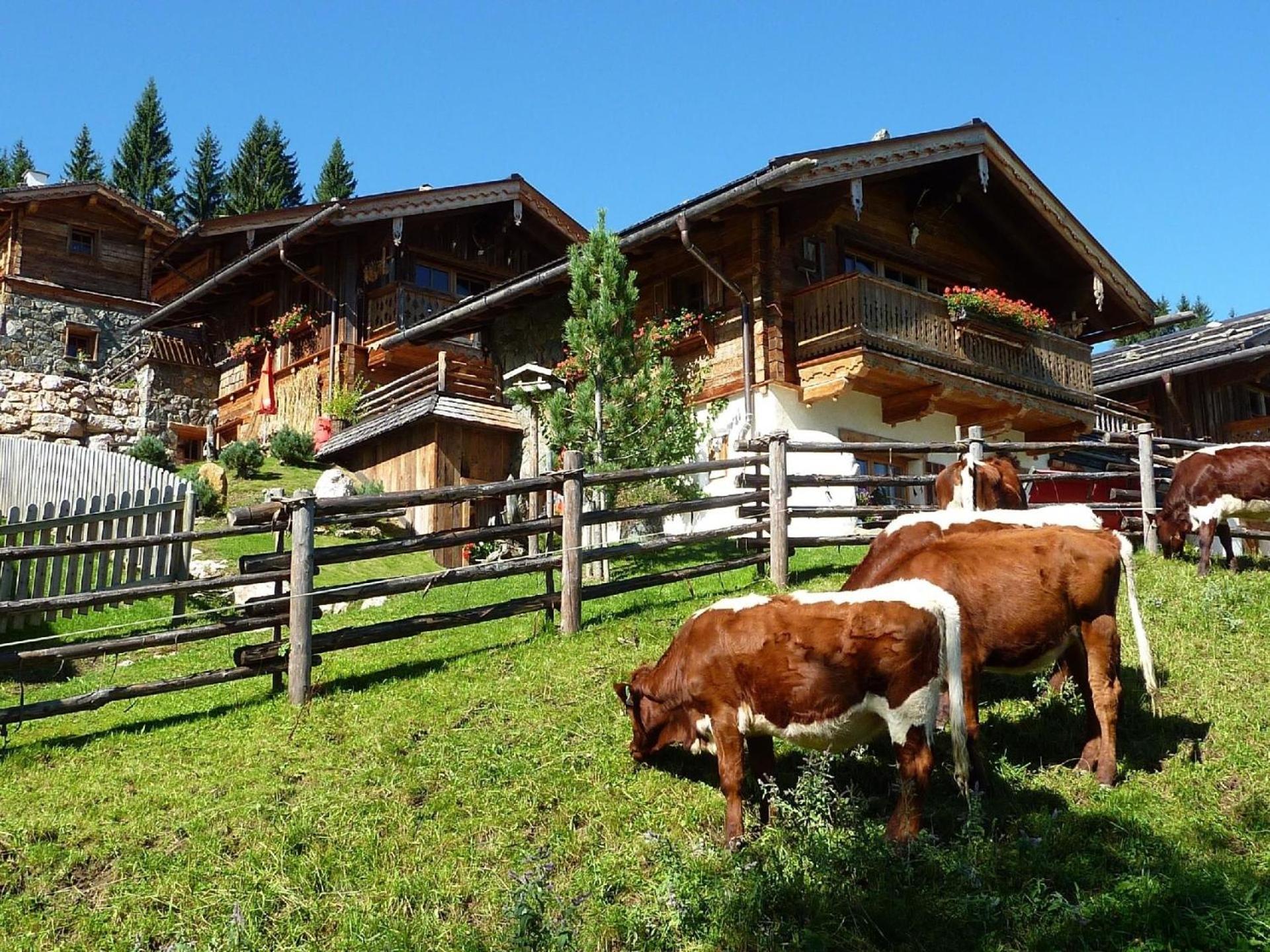 Ferienhaus Im Almdorf In Flachau Βίλα Εξωτερικό φωτογραφία